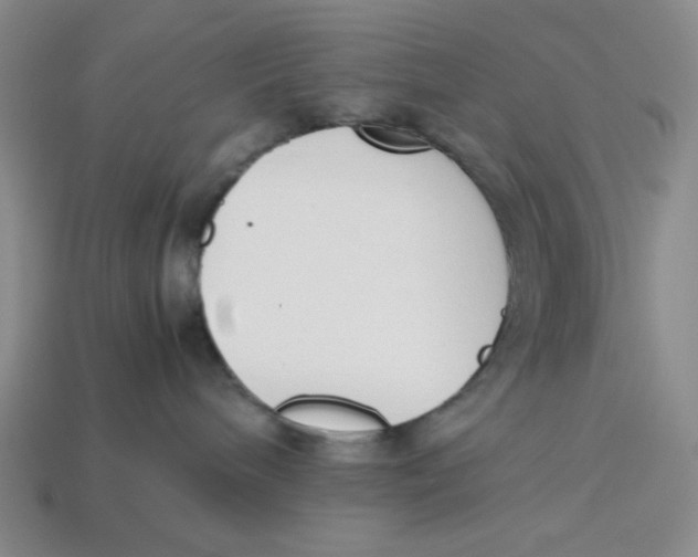X0000113350240200910131246
