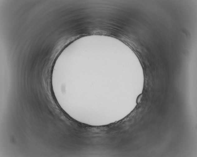 X0000113350241200910131245