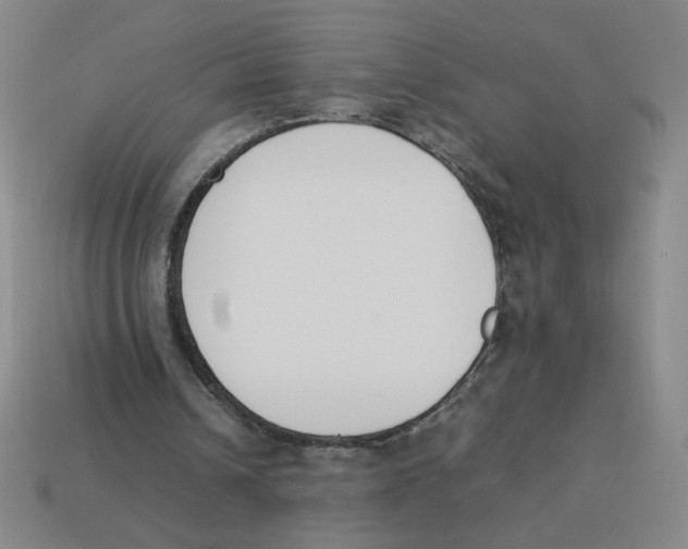 X0000113350242200910131245