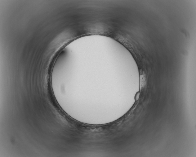 X0000113350243200910131245