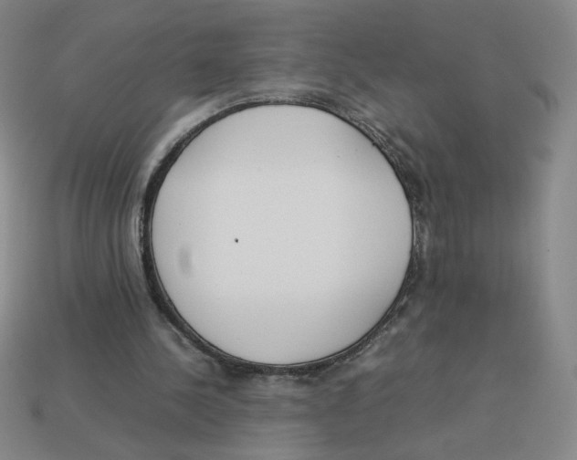 X0000113350244200910131245