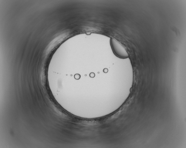 X0000113350245200910131245