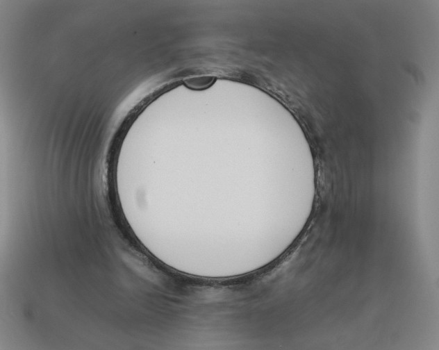 X0000113350246200910131245