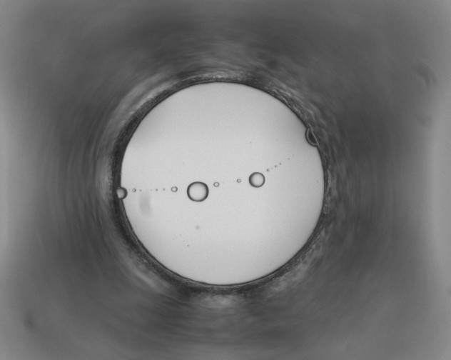 X0000113350247200910131245