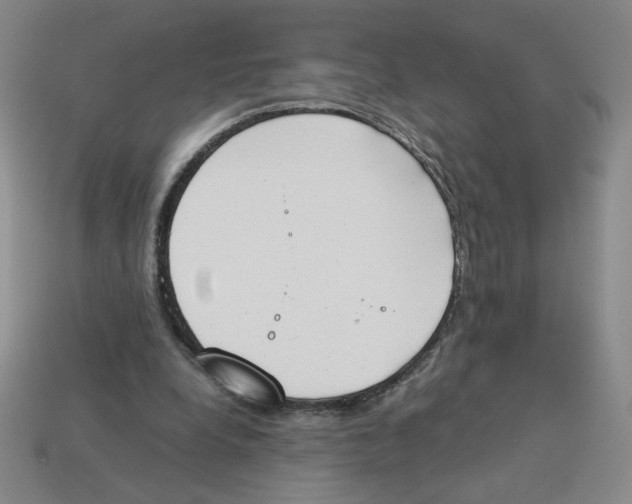 X0000113350248200910131245