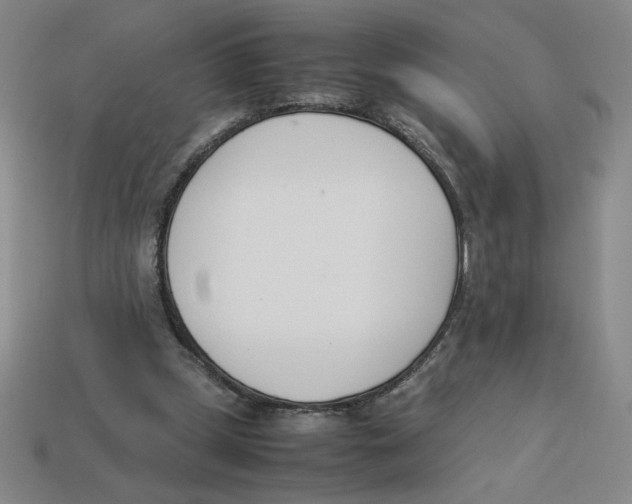 X0000113350249200910131245