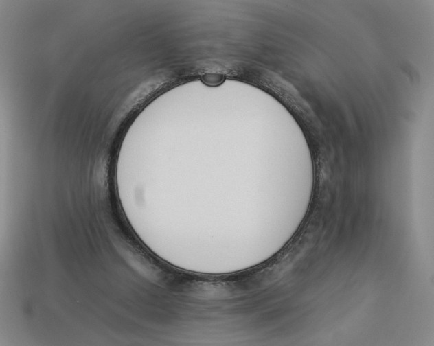 X0000113350250200910131245