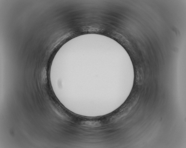 X0000113350251200910131245