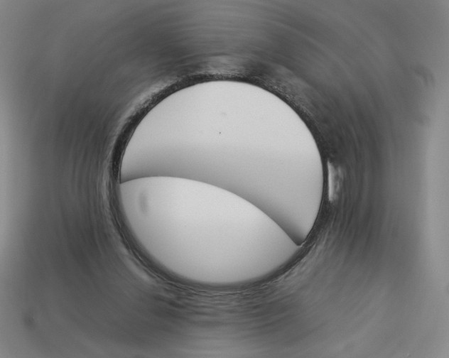 X0000113350252200910131245