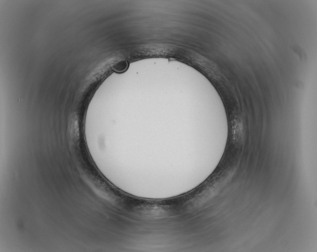 X0000113350254200910131245