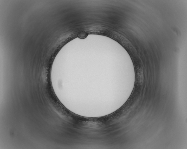 X0000113350255200910131245