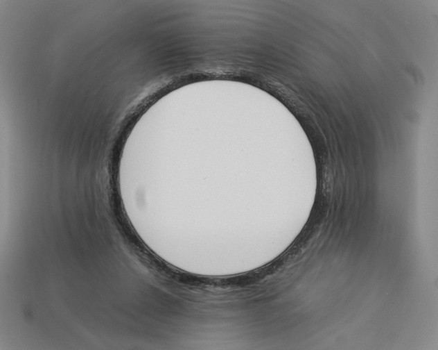 X0000113350256200910131245