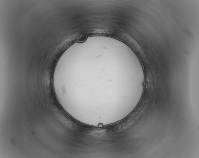 X0000113350257200910131245