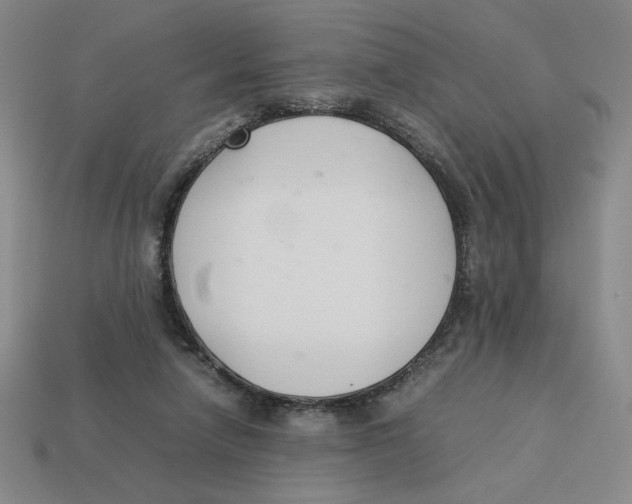 X0000113350258200910131245