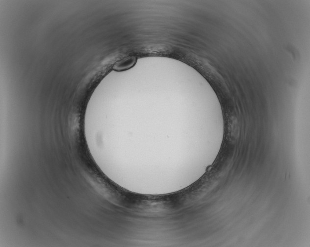 X0000113350260200910131245