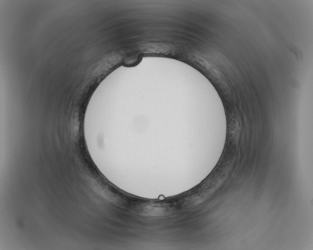 X0000113350261200910131245