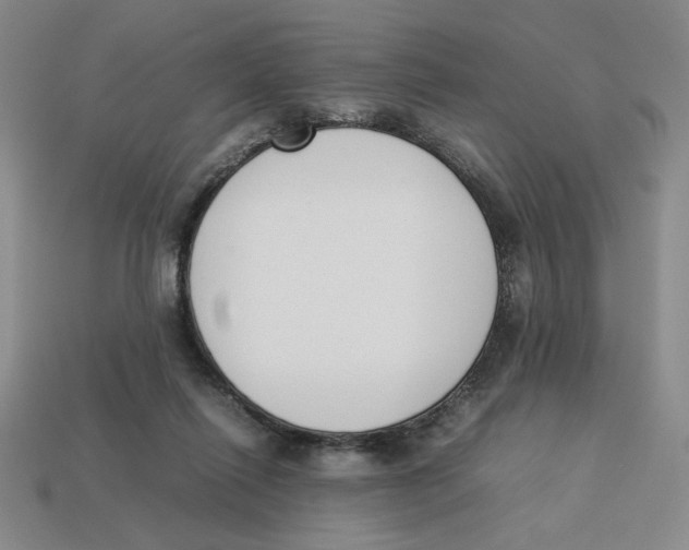 X0000113350262200910131245