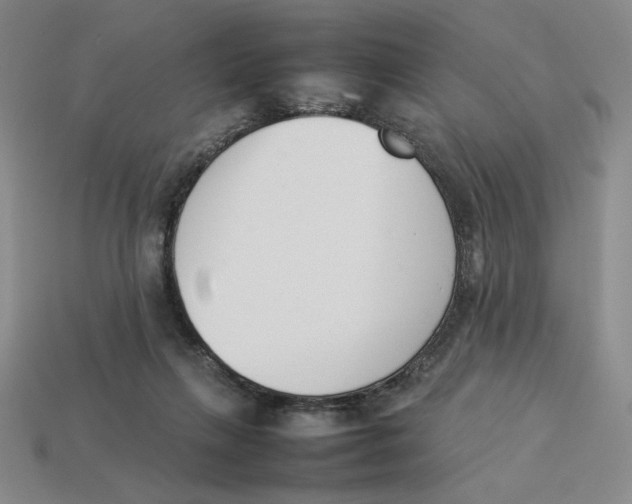 X0000113350263200910131245