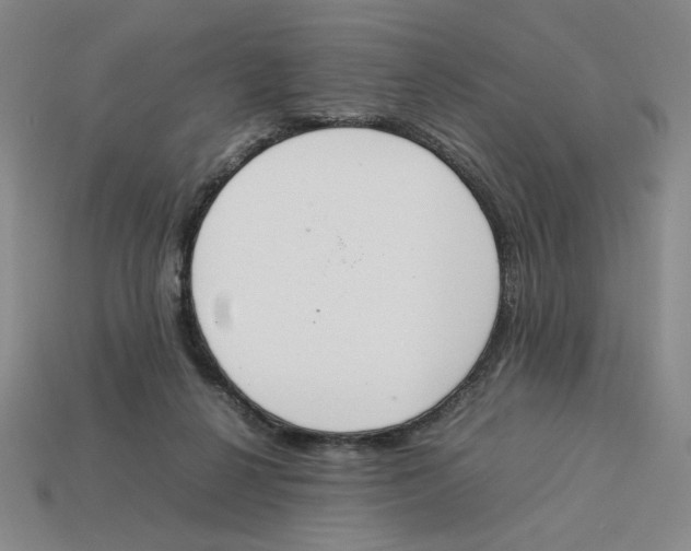 X0000113350264200910131245