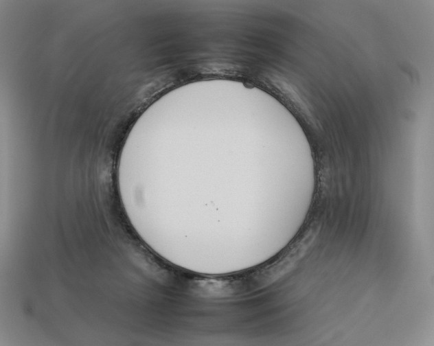 X0000113350265200910131245