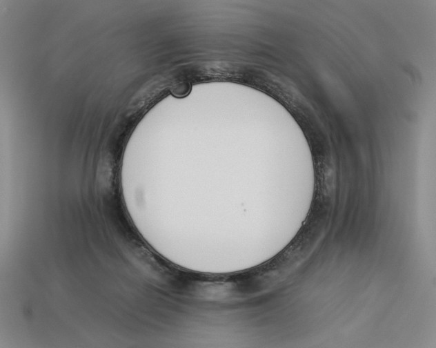 X0000113350266200910131245