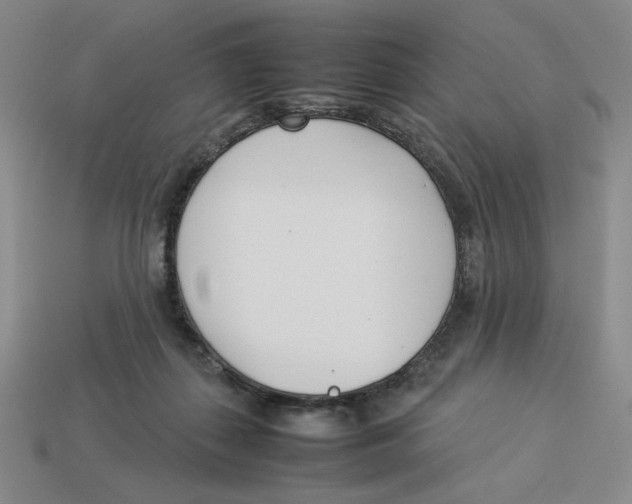 X0000113350267200910131245