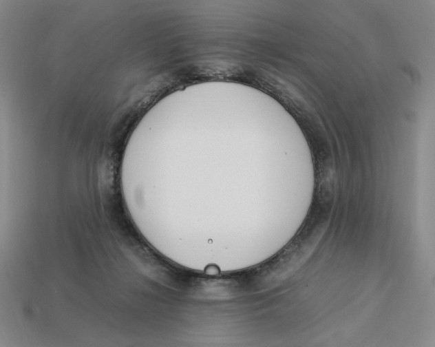 X0000113350268200910131245