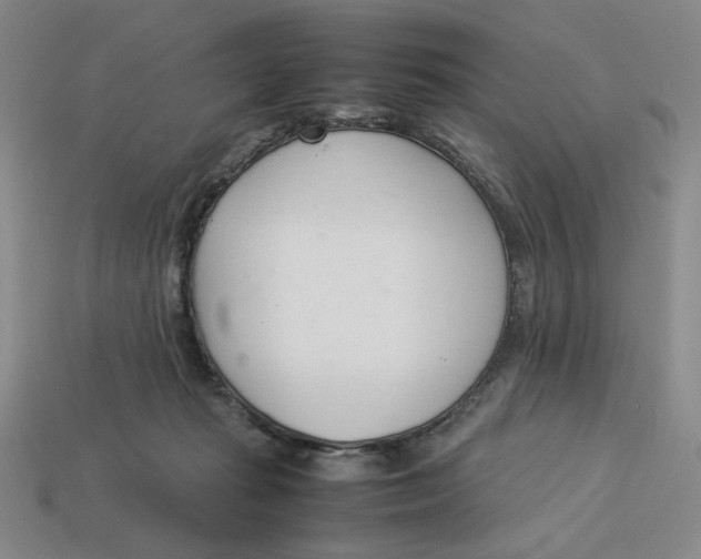 X0000113350269200910131246