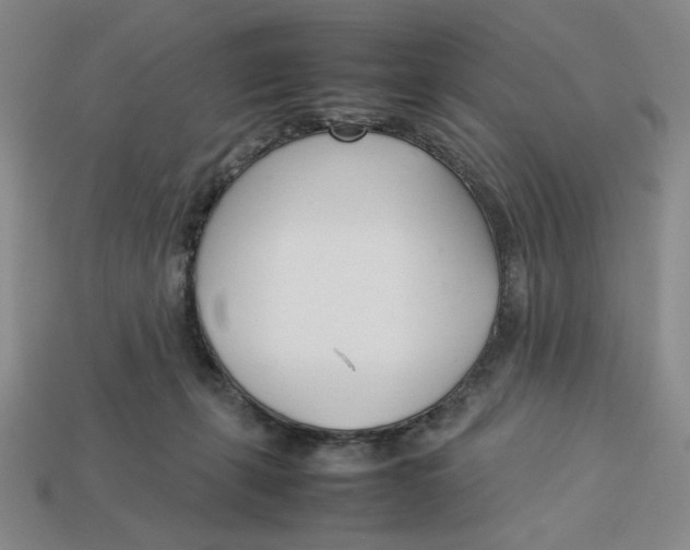 X0000113350271200910131246