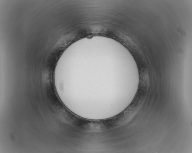 X0000113350272200910131246