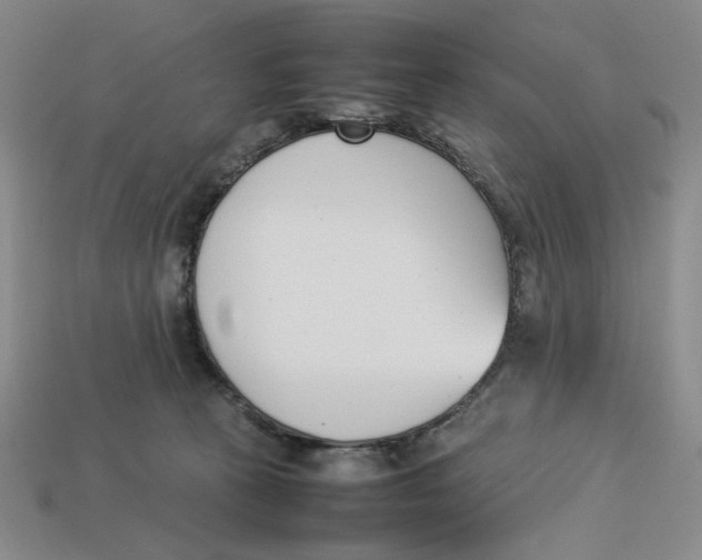X0000113350273200910131246