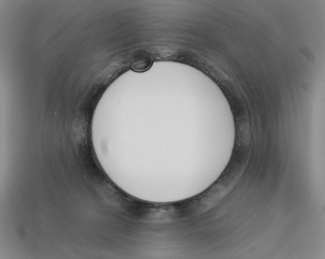 X0000113350274200910131246