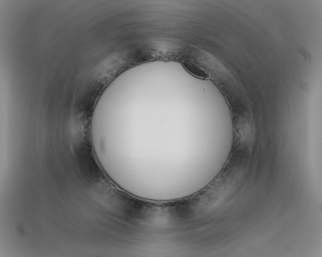 X0000113350276200910131246