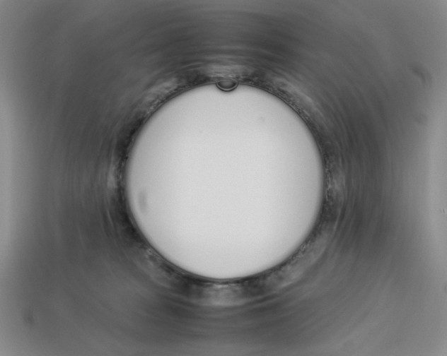 X0000113350277200910131246