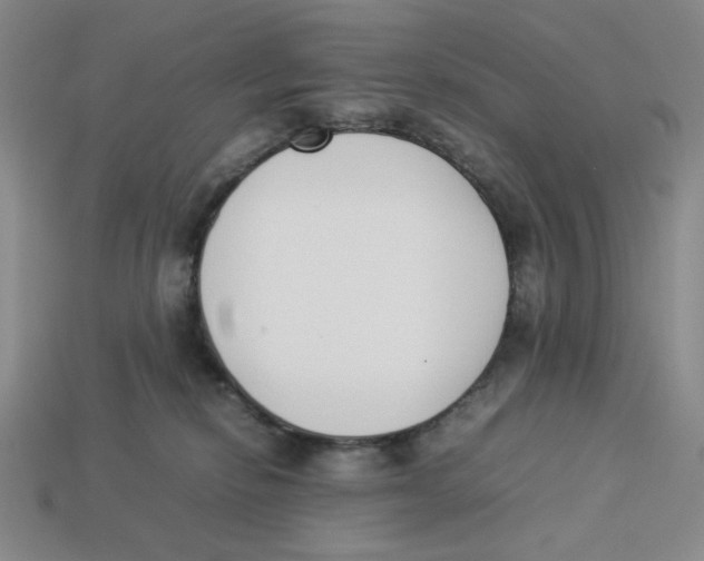 X0000113350278200910131246