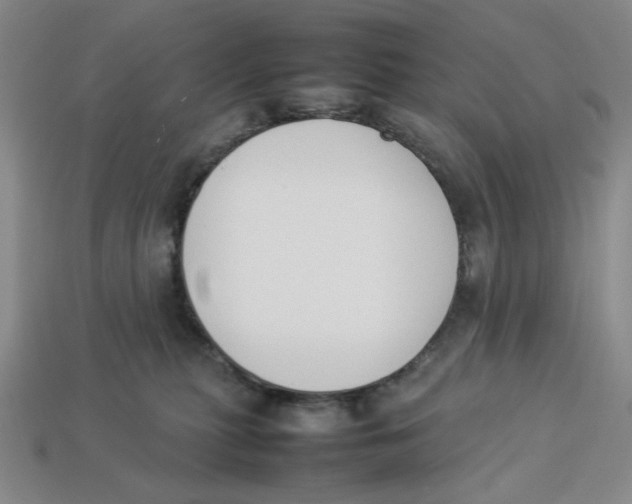 X0000113350279200910131246