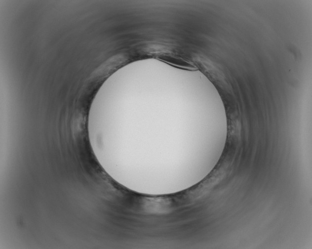 X0000113350281200910131246