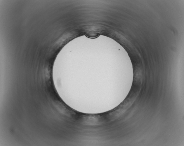 X0000113350282200910131246