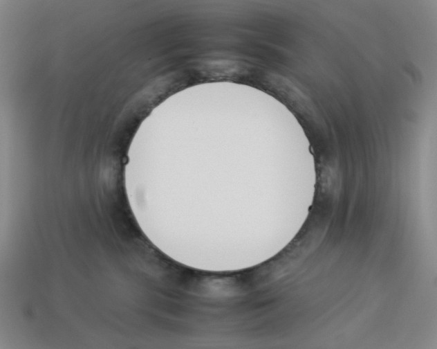 X0000113350283200910131246
