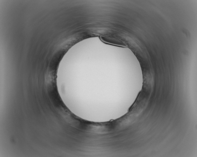 X0000113350284200910131246