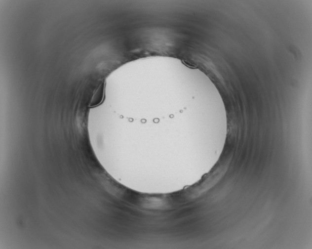 X0000113350285200910131246