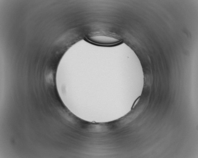 X0000113350286200910131246