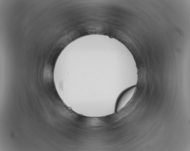 X0000113350287200910131246