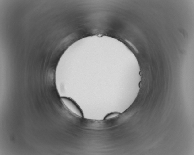 X0000113350288200910131246