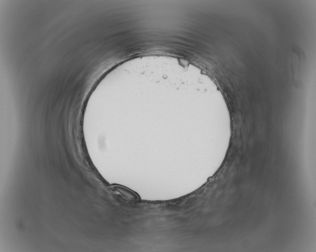 X0000113350289200910131245