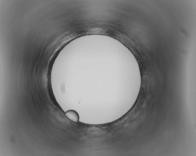 X0000113350290200910131245
