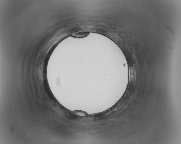 X0000113350291200910131245