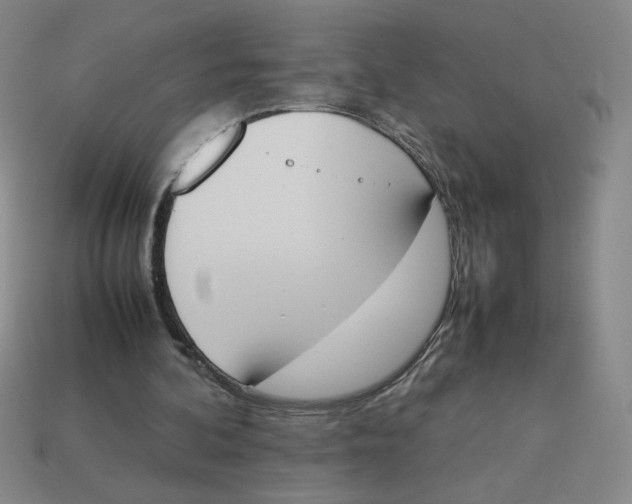 X0000113350292200910131245