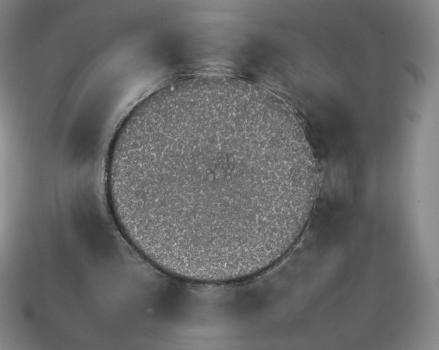 X0000113350293200910131245