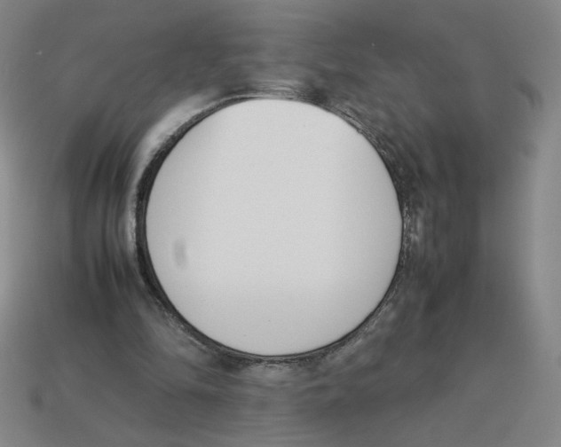 X0000113350294200910131245